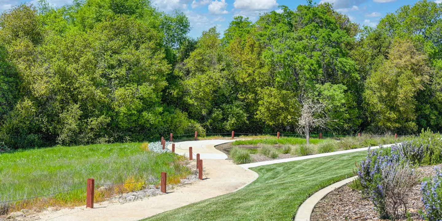 Moscato at Brady Vineyards in Roseville, CA by Woodside Homes