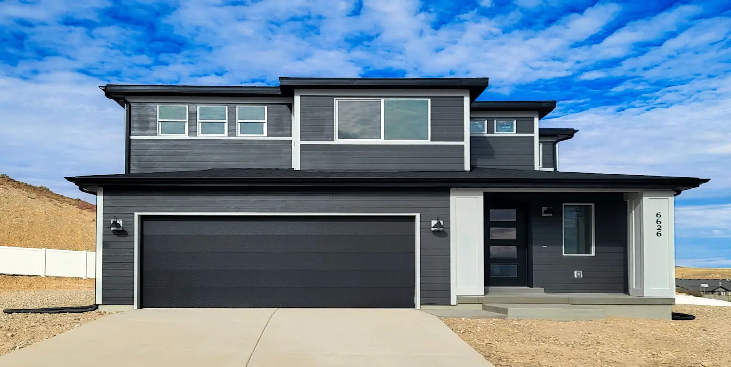 Sycamore | Lot 0006