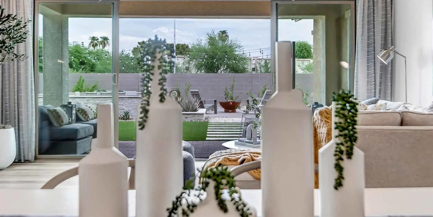 Cardinal - VT - DSC 2063-min