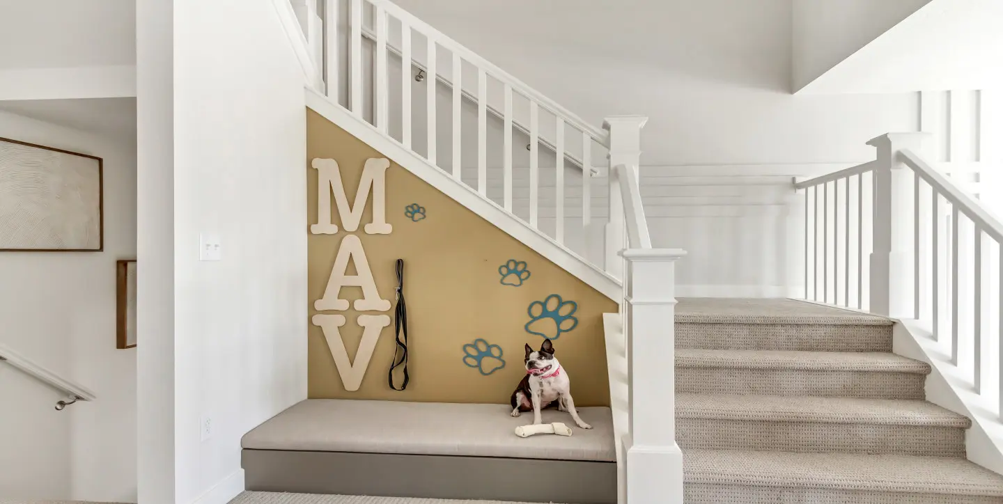 MKL Washington Dog Bed