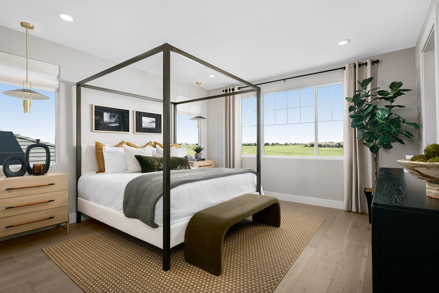 Summerfild Marigold HiRes-10 hero