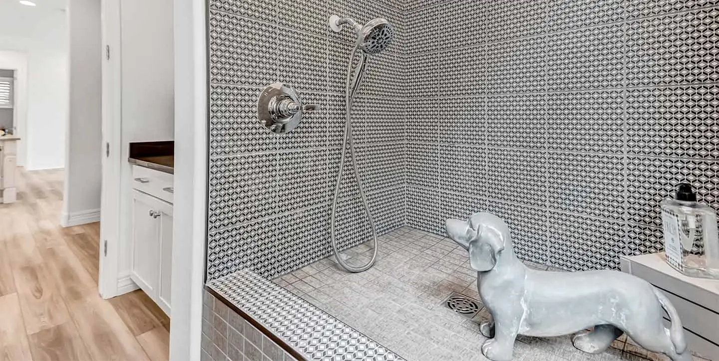 Cardinal - VT - DSC 2169-min