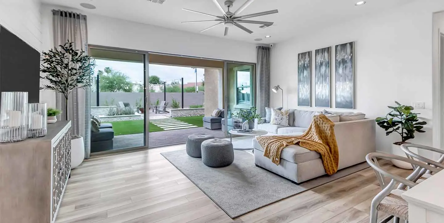 Cardinal - VT - DSC 2058-min