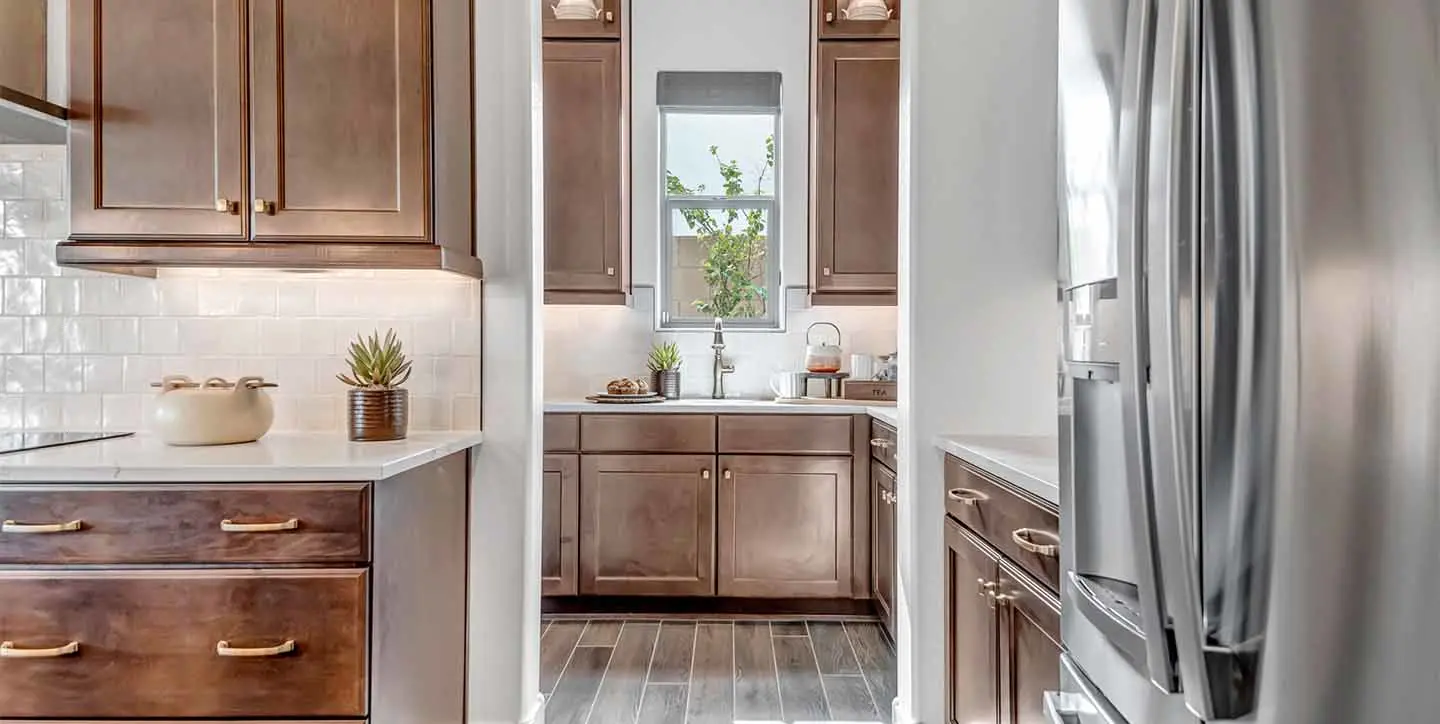 Goldfinch - VT - DSC 1716-min