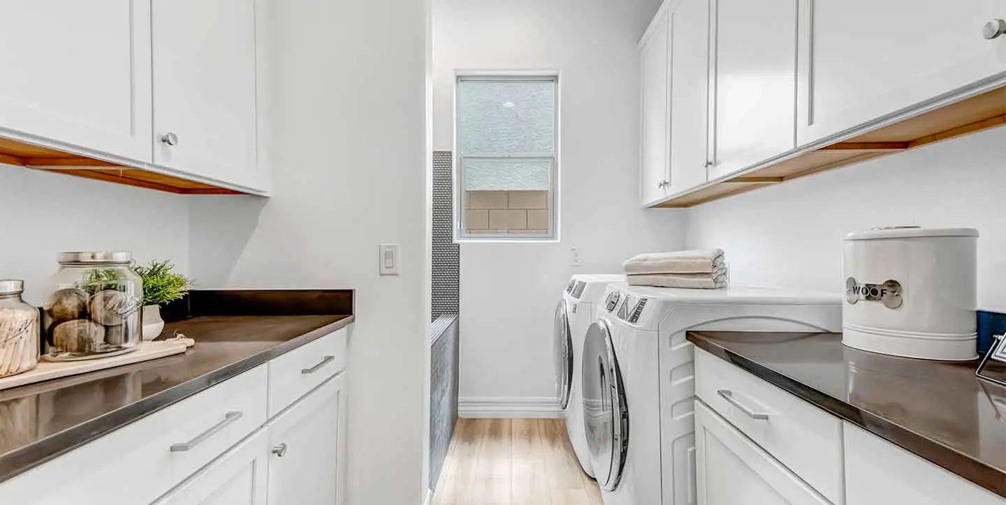 Cardinal - VT - DSC 2164-min