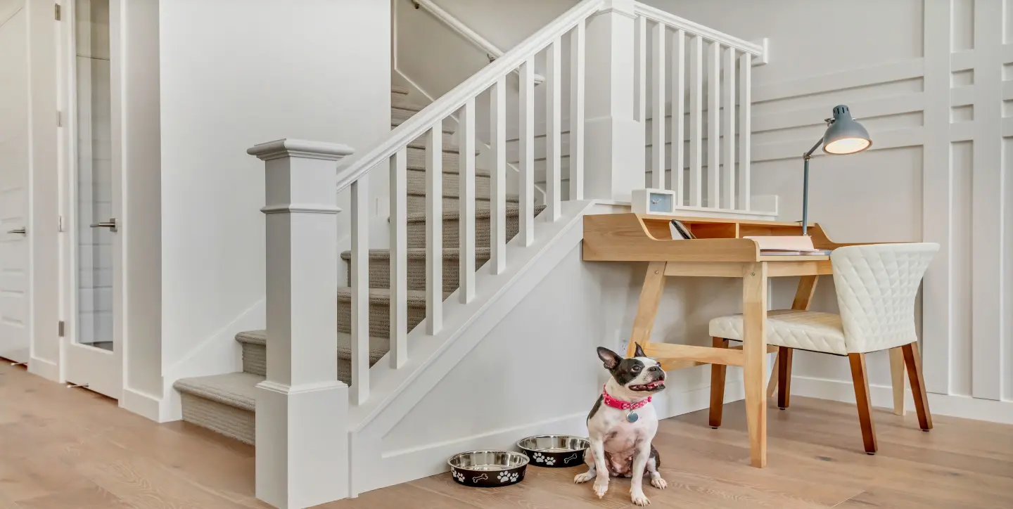 MKL Washington Stairs