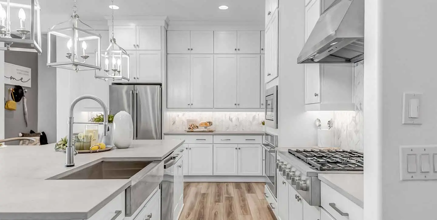 Cardinal - VT - DSC 2007-min