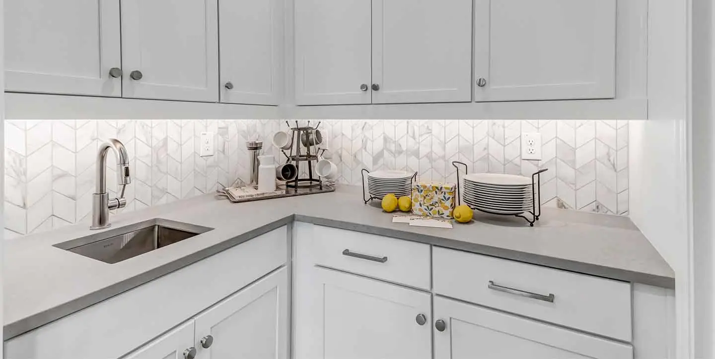 Cardinal - VT - DSC 2047-min