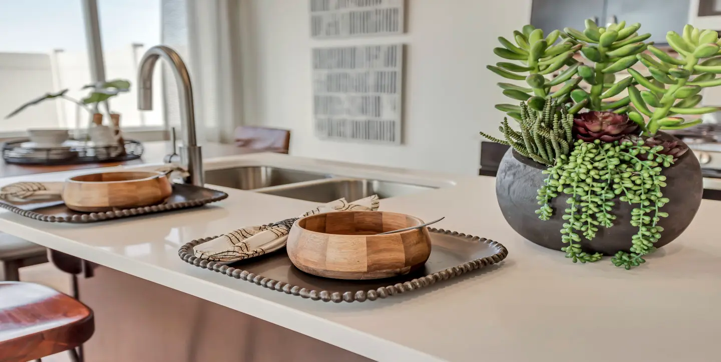 SPE Harvard Model Kitchen