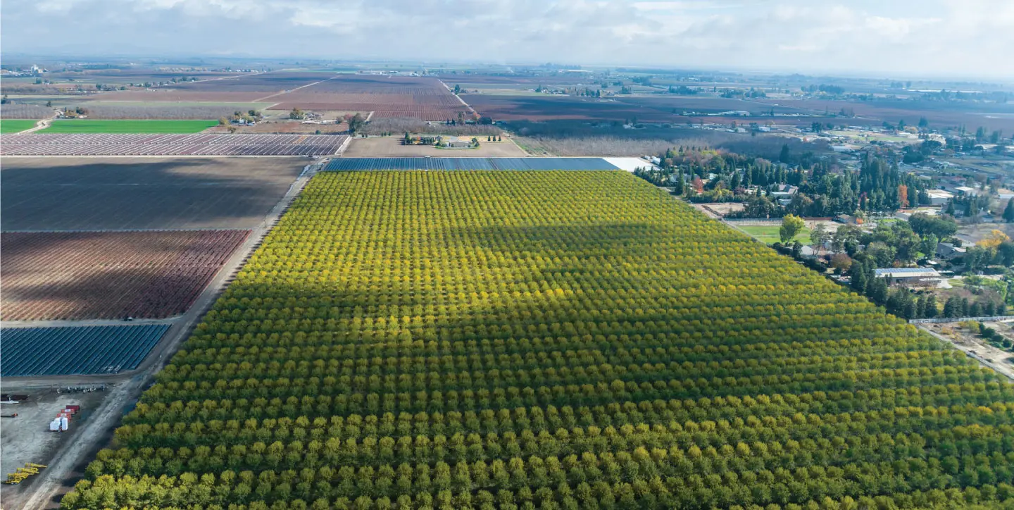 1440x724 Copper-Aerial-6
