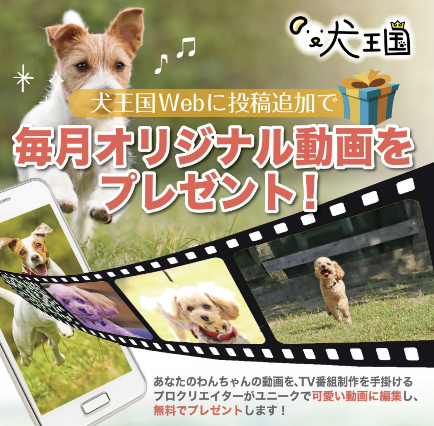 犬王国に投稿でプロクオリティの「愛犬のオリジナル動画」をプレゼント🐾