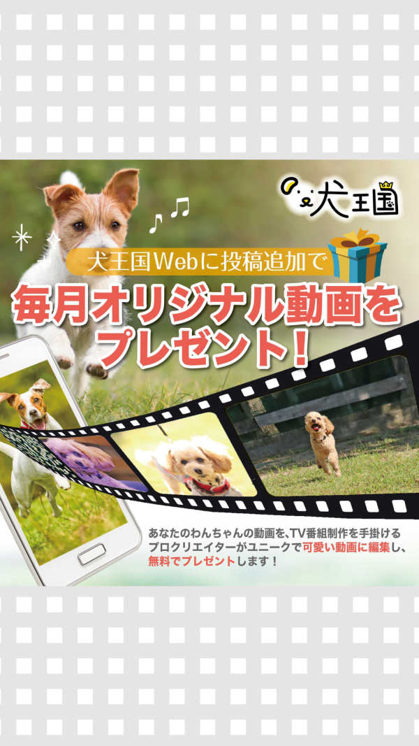 犬王国に投稿でプロクオリティの「愛犬のオリジナル動画」をプレゼント🐾