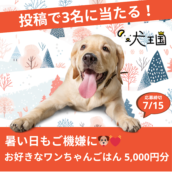 【犬王国への投稿で当たる📸】暑い日もご機嫌に✨ワンちゃんのお好きなご飯5,000円分🐶🍚