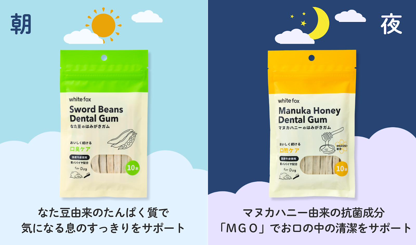 251215【画像】はみがきガム(朝・夜の使い分け)