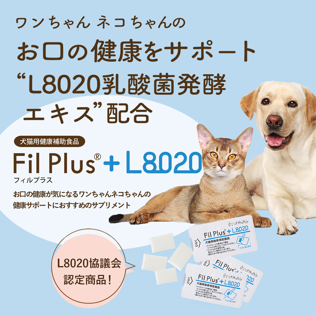 ワンちゃんのお口の健康をサポート！Fil Plus®+L8020（フィルプラス）の無料モニターを募集します！