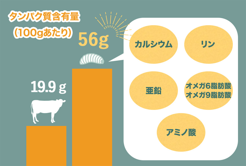 犬用おやつ スナッピーズ 120g