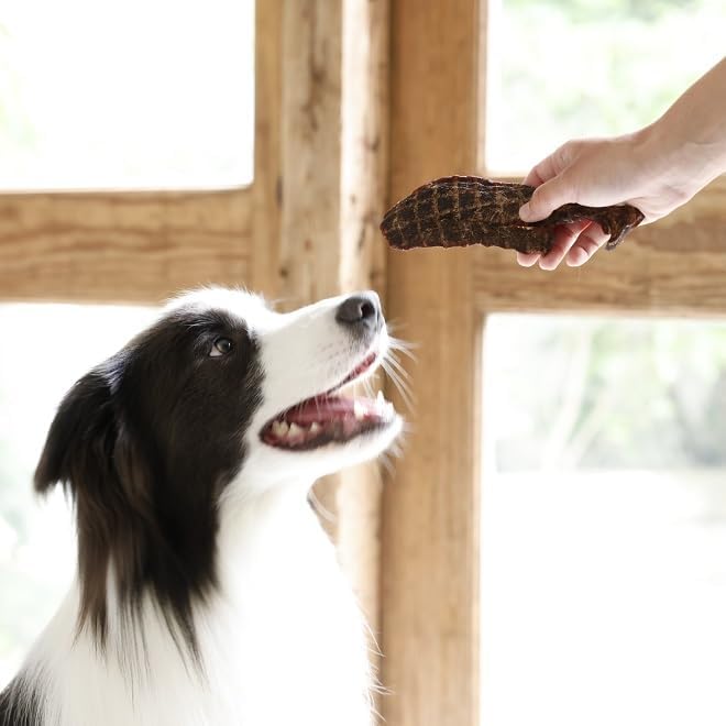 花畑牧場「無添加 エゾ鹿肉の"ステーキ"大判ジャーキー200g」