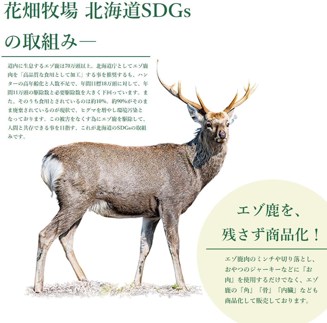 花畑牧場「無添加 エゾ鹿肉の"ステーキ"大判ジャーキー200g」