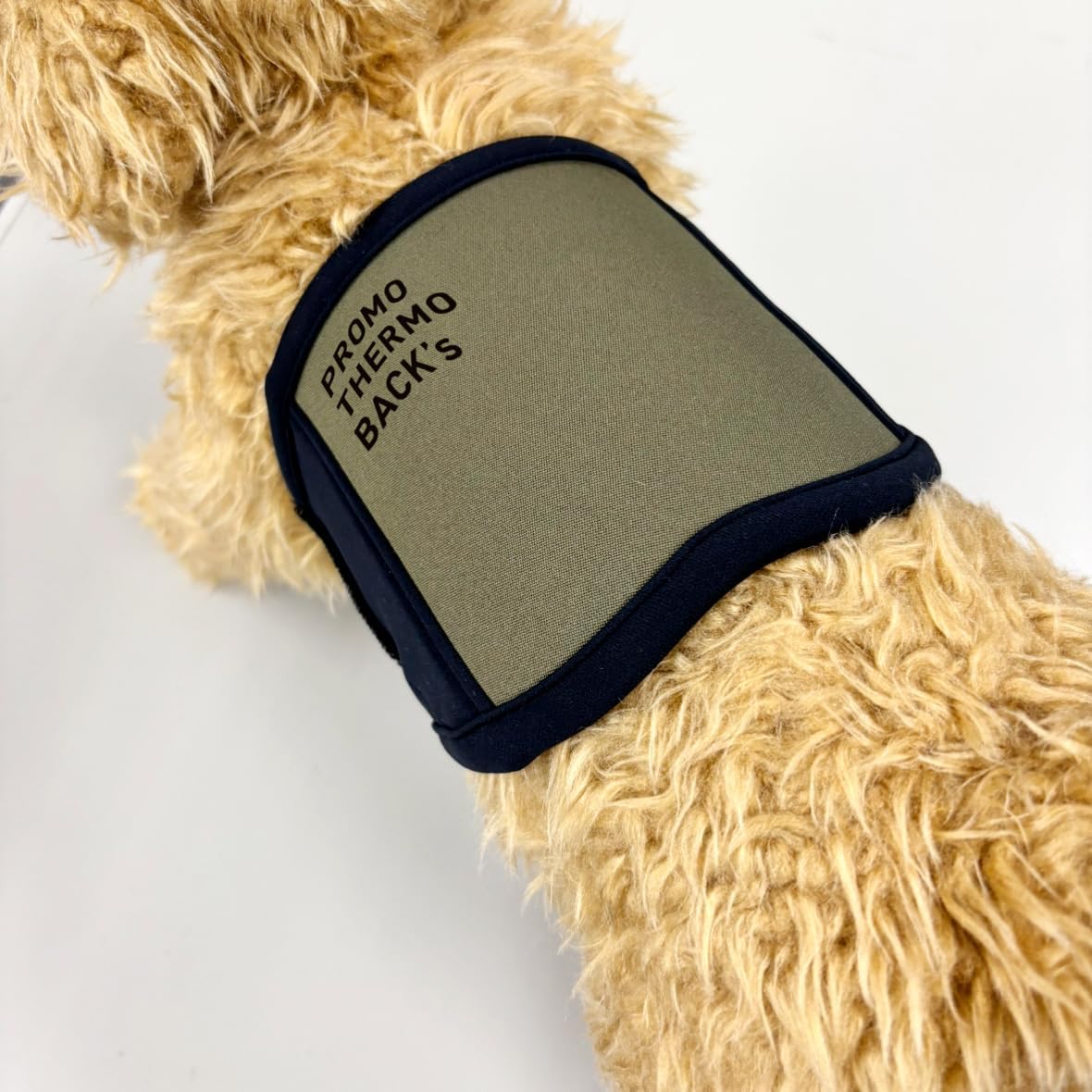 PROMO THERMO BACK’s（プロモサーモ バックス）