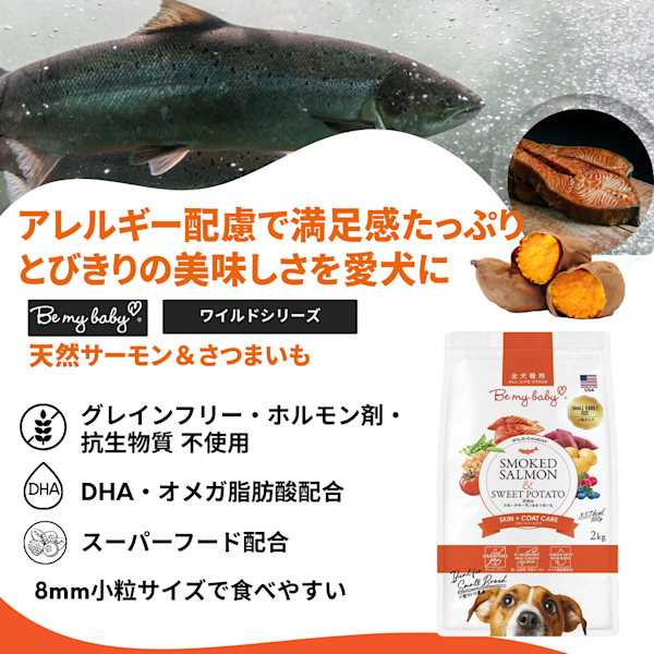 厳選食材のグレインフリーフード「Be my baby 小粒ドッグフード スモークサーモン＆さつまいも 800g」無料モニターを募集します