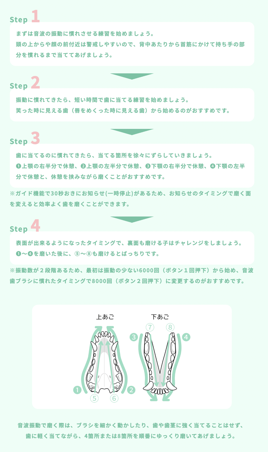 使用手順 BOOOOM 犬猫用オーラルケア