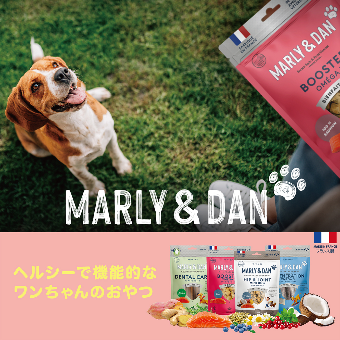 獣医師が開発したヘルシー＆ナチュラルなおやつ！『MARLY&DAN（マーリー＆ダン）フリーズドライサーモン』無料モニター募集！