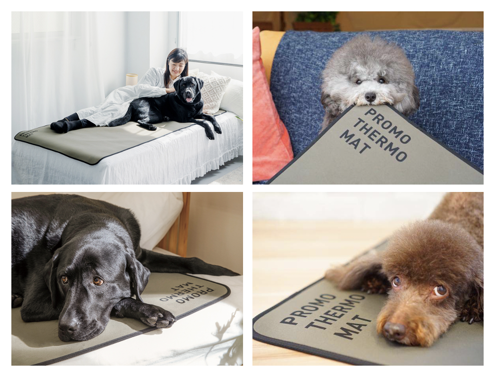 PROMO THERMO BACK's プロモサーモバックス 犬 PROMO THERMO BACK's（プロモサーモ バックス） | 犬王国 - ワン