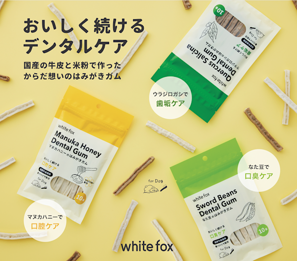 【ホワイトフォックス】食品添加物不使用・天然素材でつくった “はみがきガム”の無料モニターを募集します!