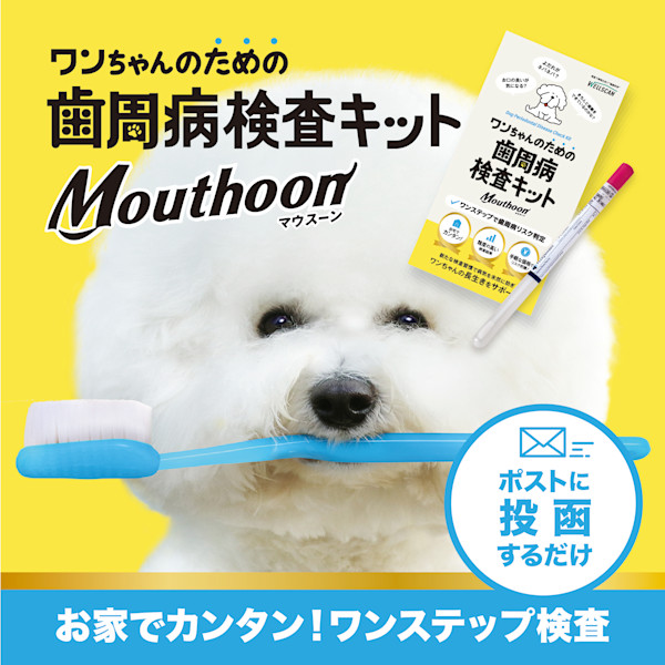 歯周病対策に!愛犬のお口の菌を調べるセルフチェックキット「Mouthoon(マウスーン)」の無料モニターを募集します!