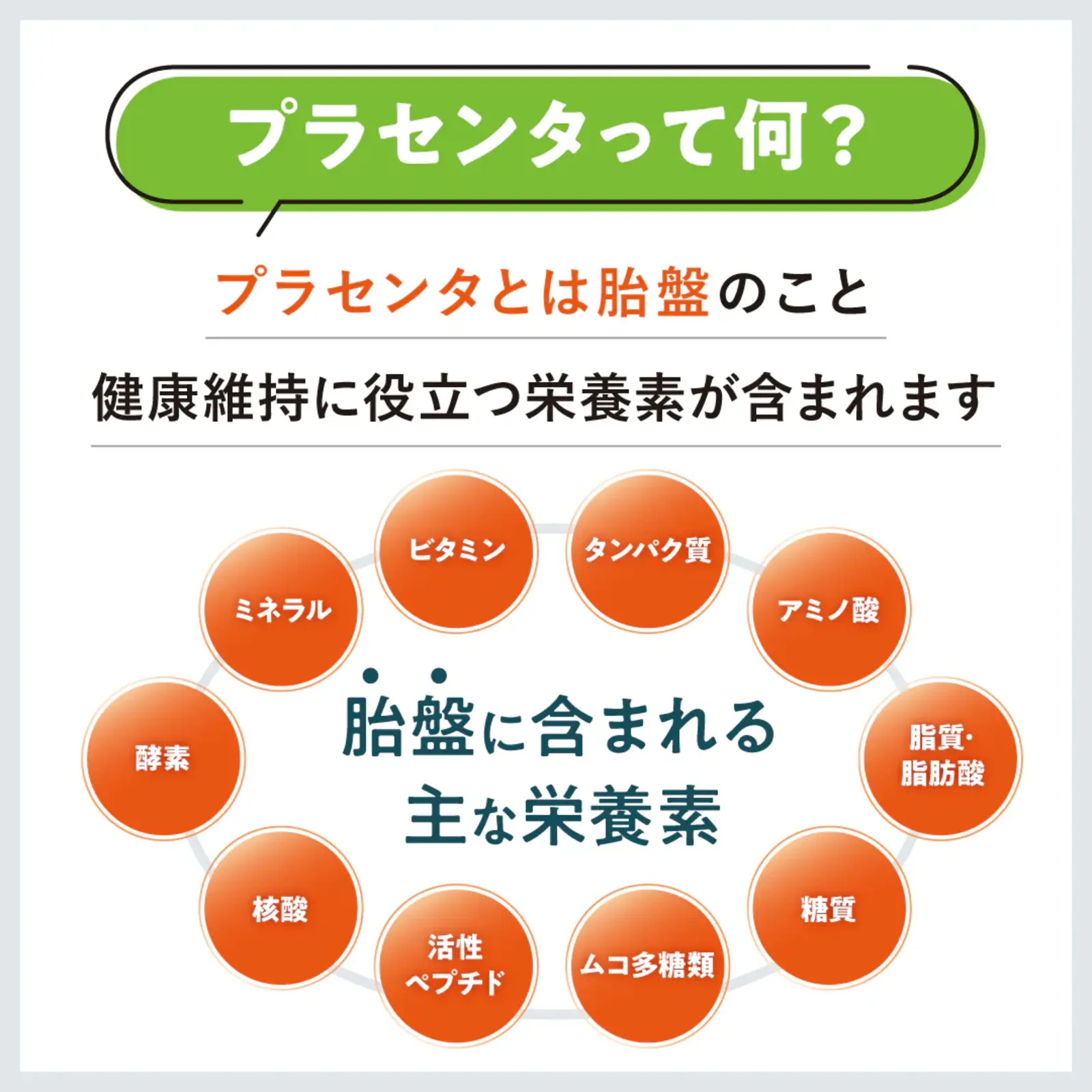 JBPET banner 25 0226 09