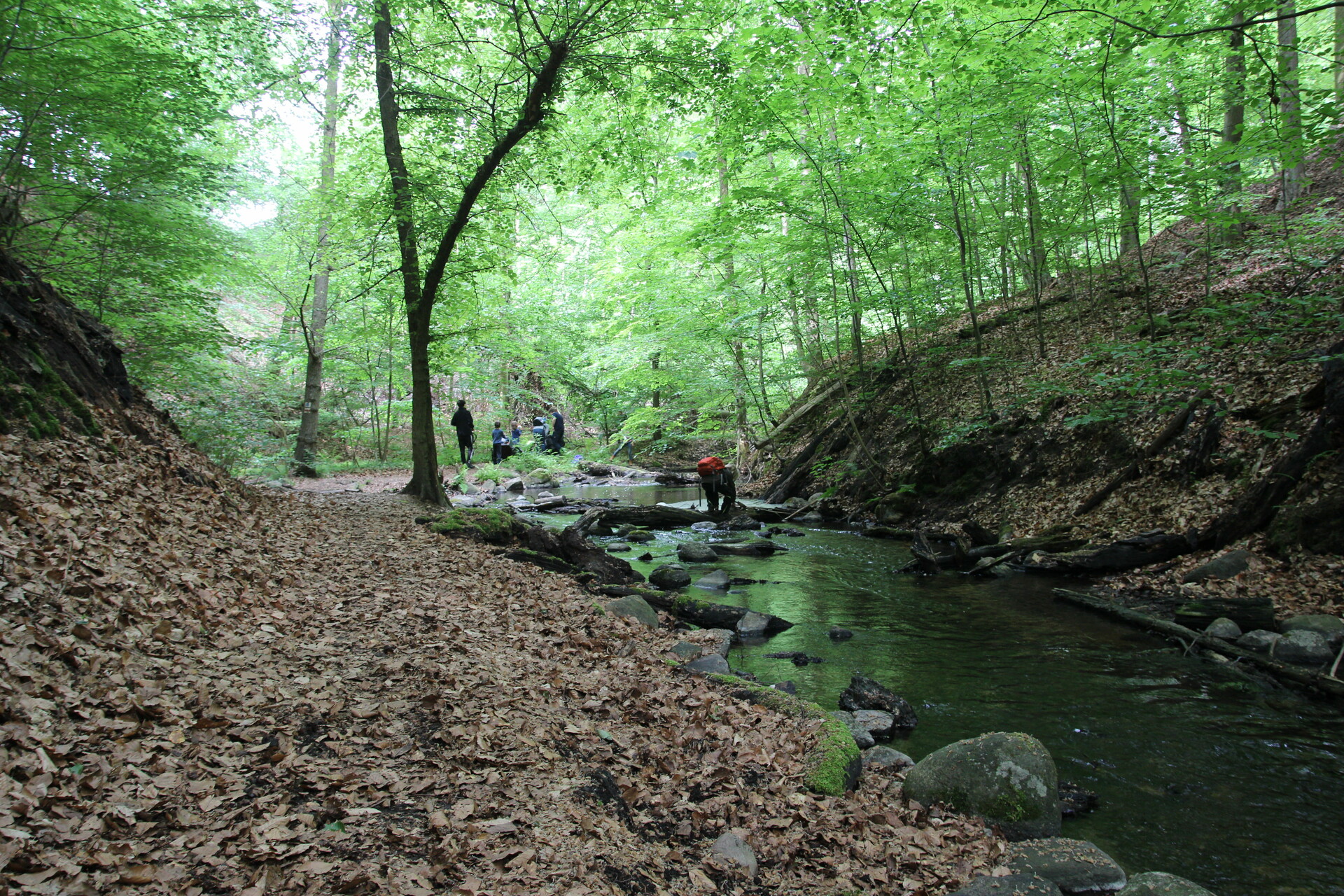 Headerpic-DGG-Naturschule-Barnim