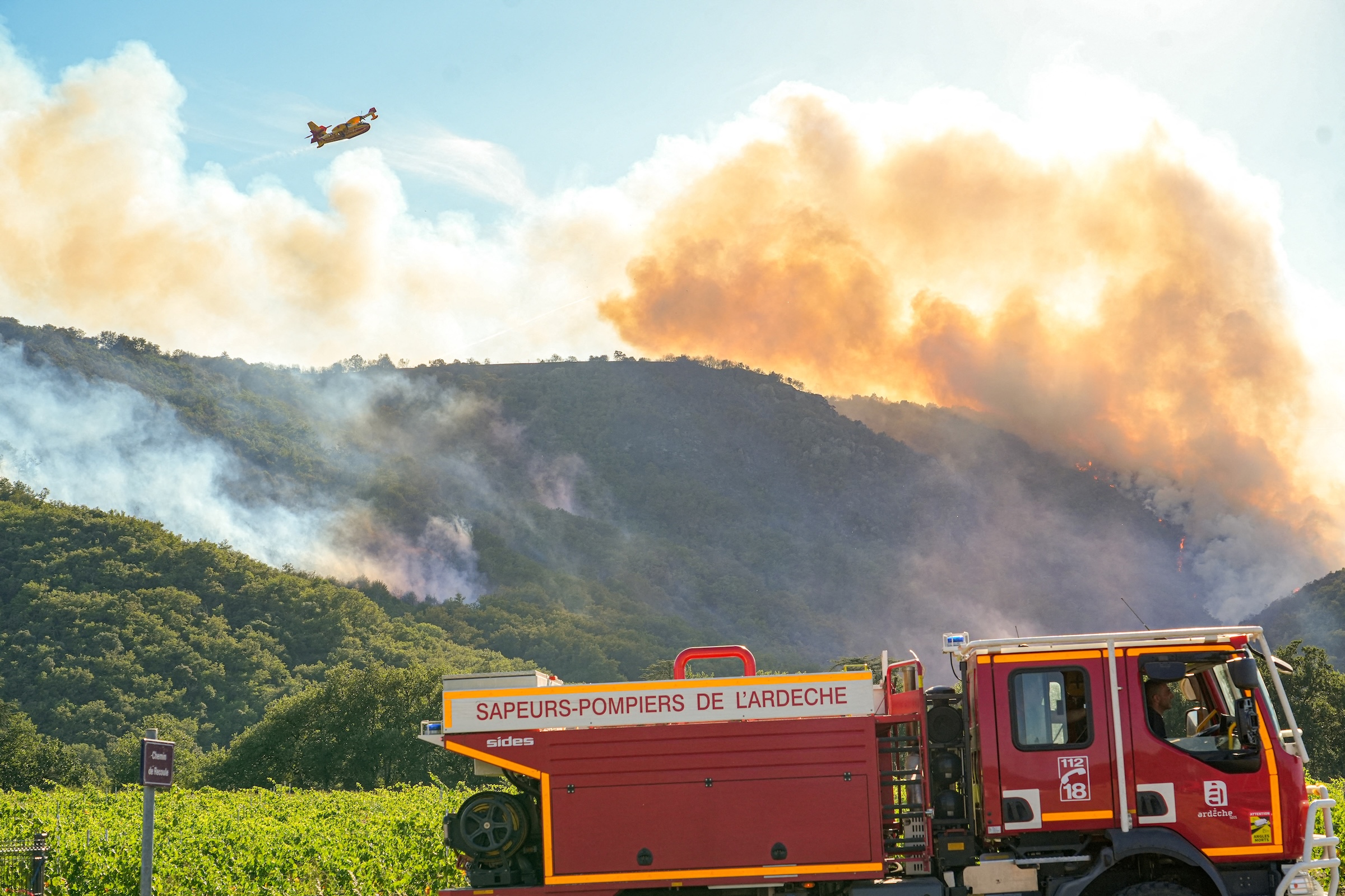 Incendies d’origine « volontaire » à Fontainebleau : dans la tête d'un ...