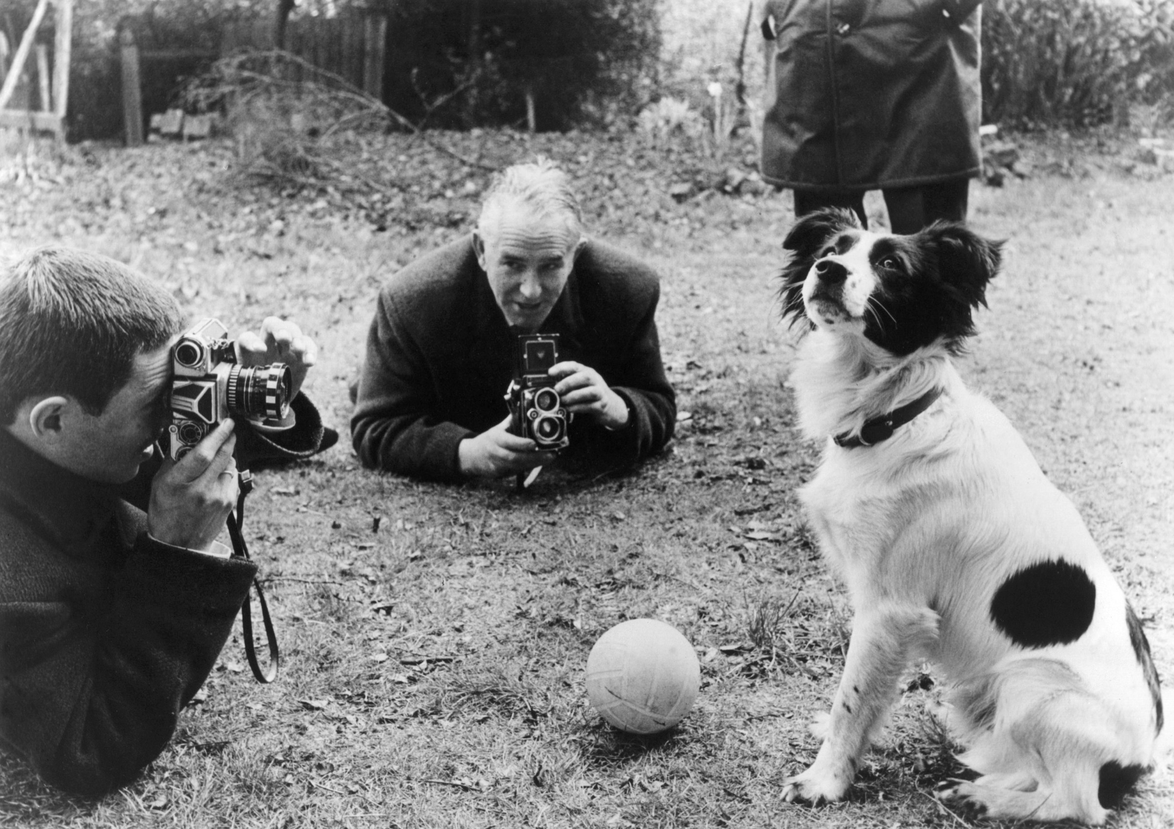« Son flair a humilié Scotland Yard » : La folle histoire de Cornichon ...