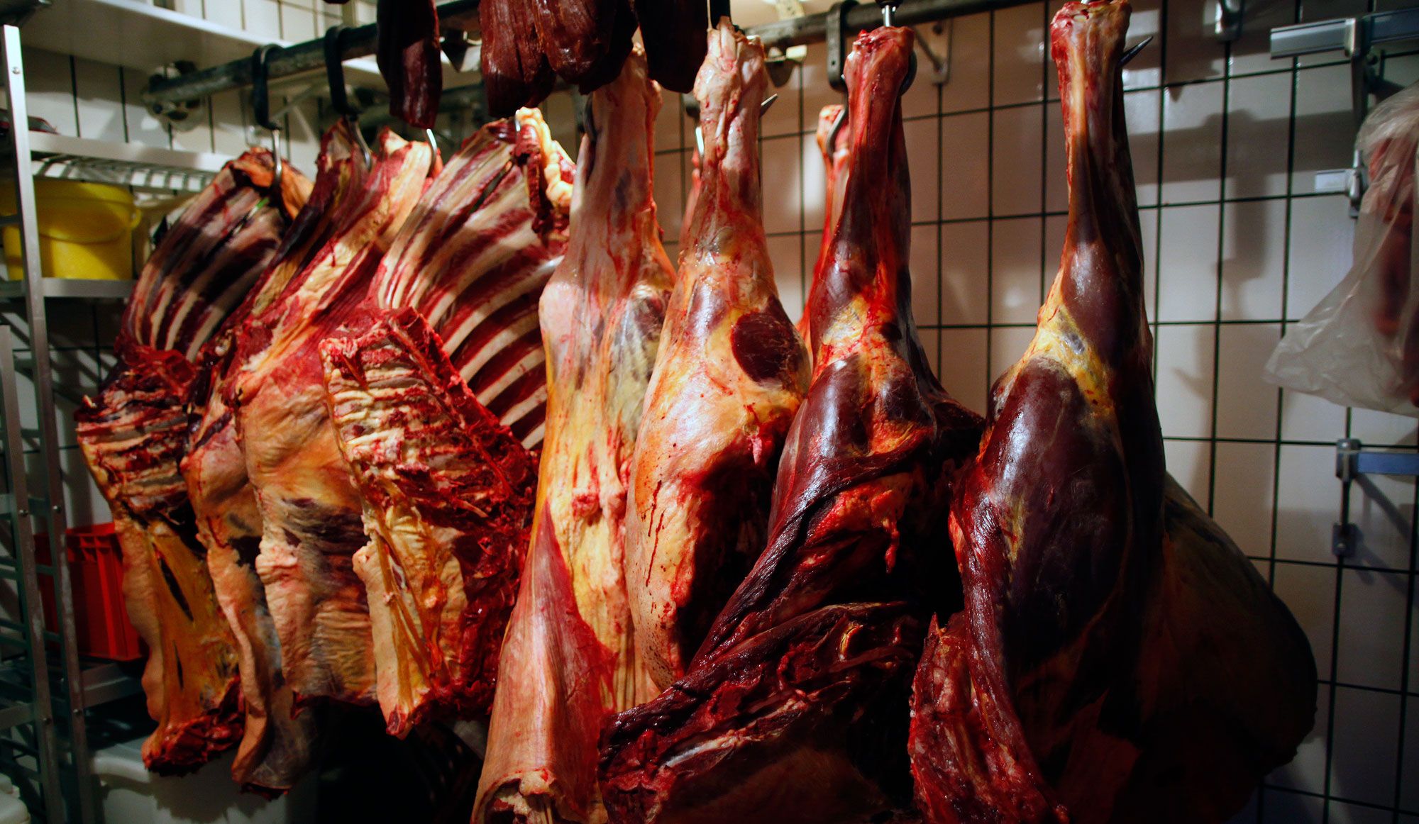 Scandale de la viande de cheval. La France la plus touchée