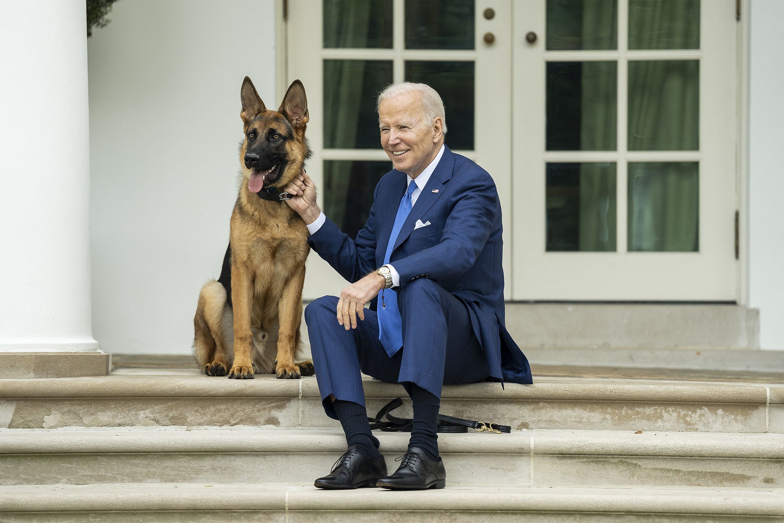 La morsure de trop : Joe Biden se sépare définitivement de son fidèle ...