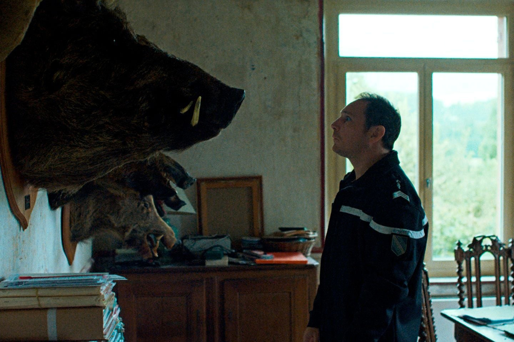 « L'Espèce explosive » : la critique d'un film de sangliers façon ...