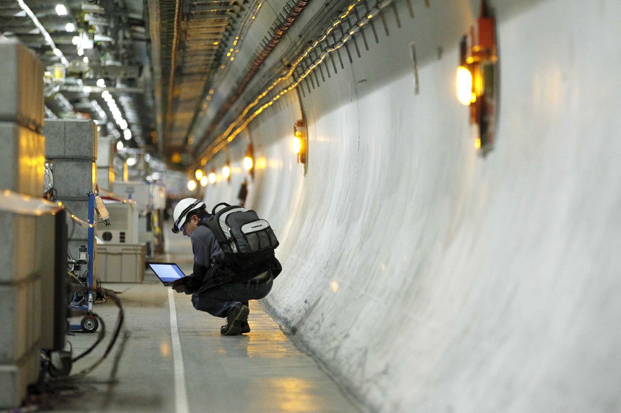Une fouine provoque une panne du Grand collisionneur de hadrons