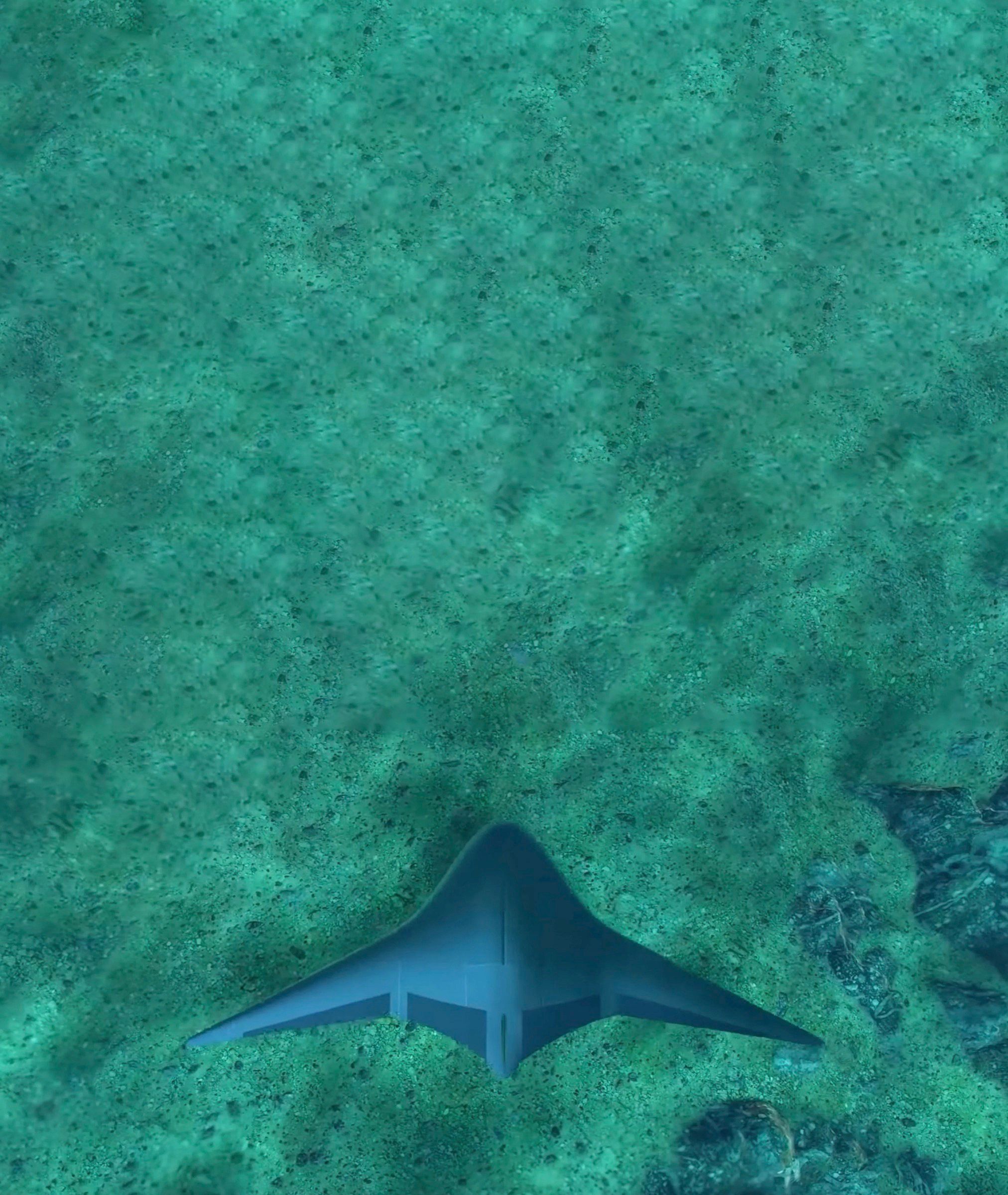 Manta Ray, l’arme secrète de la Navy