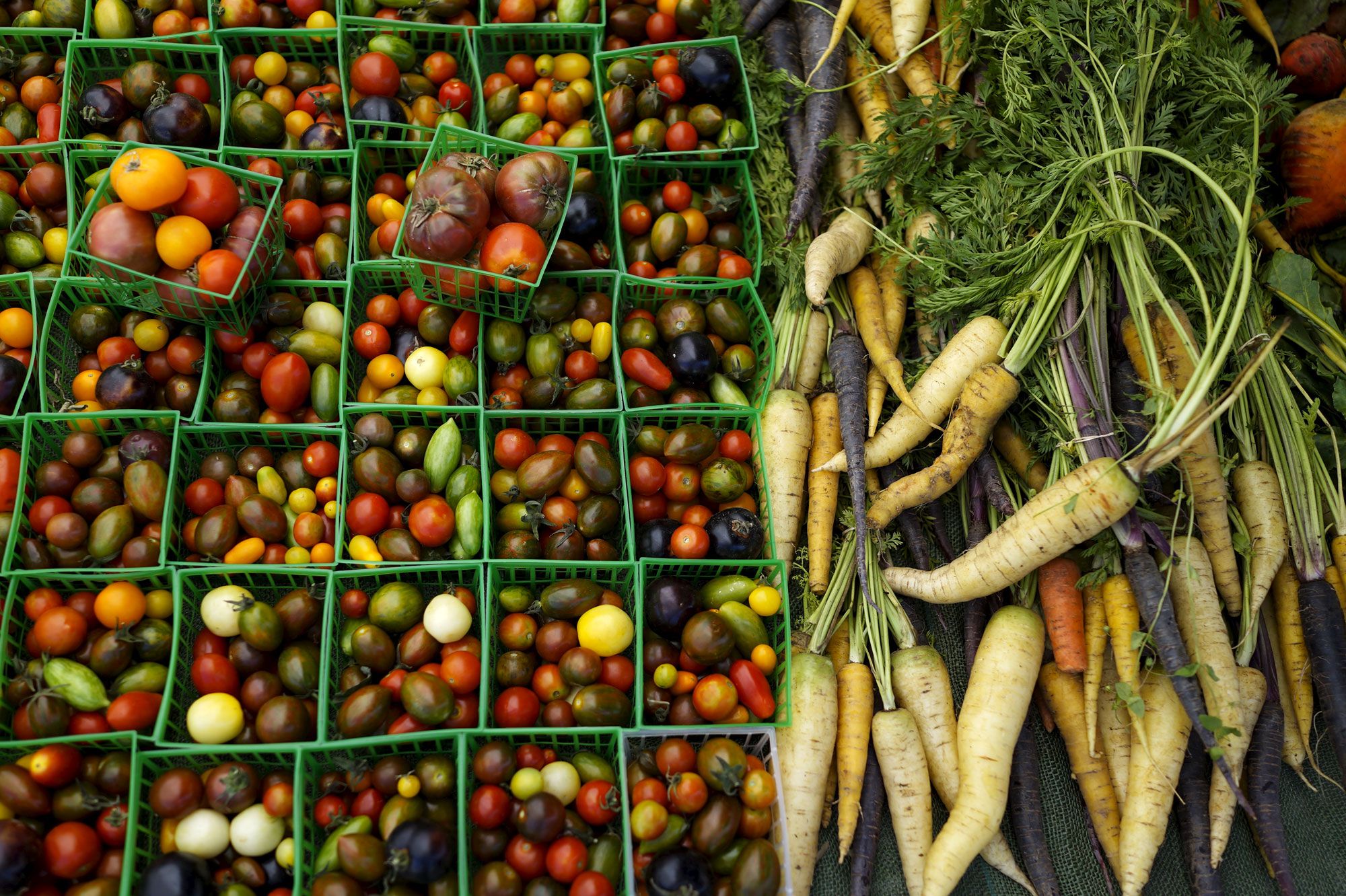 Tout sur les mesures anti-gaspillage alimentaire - L'Assemblée ...