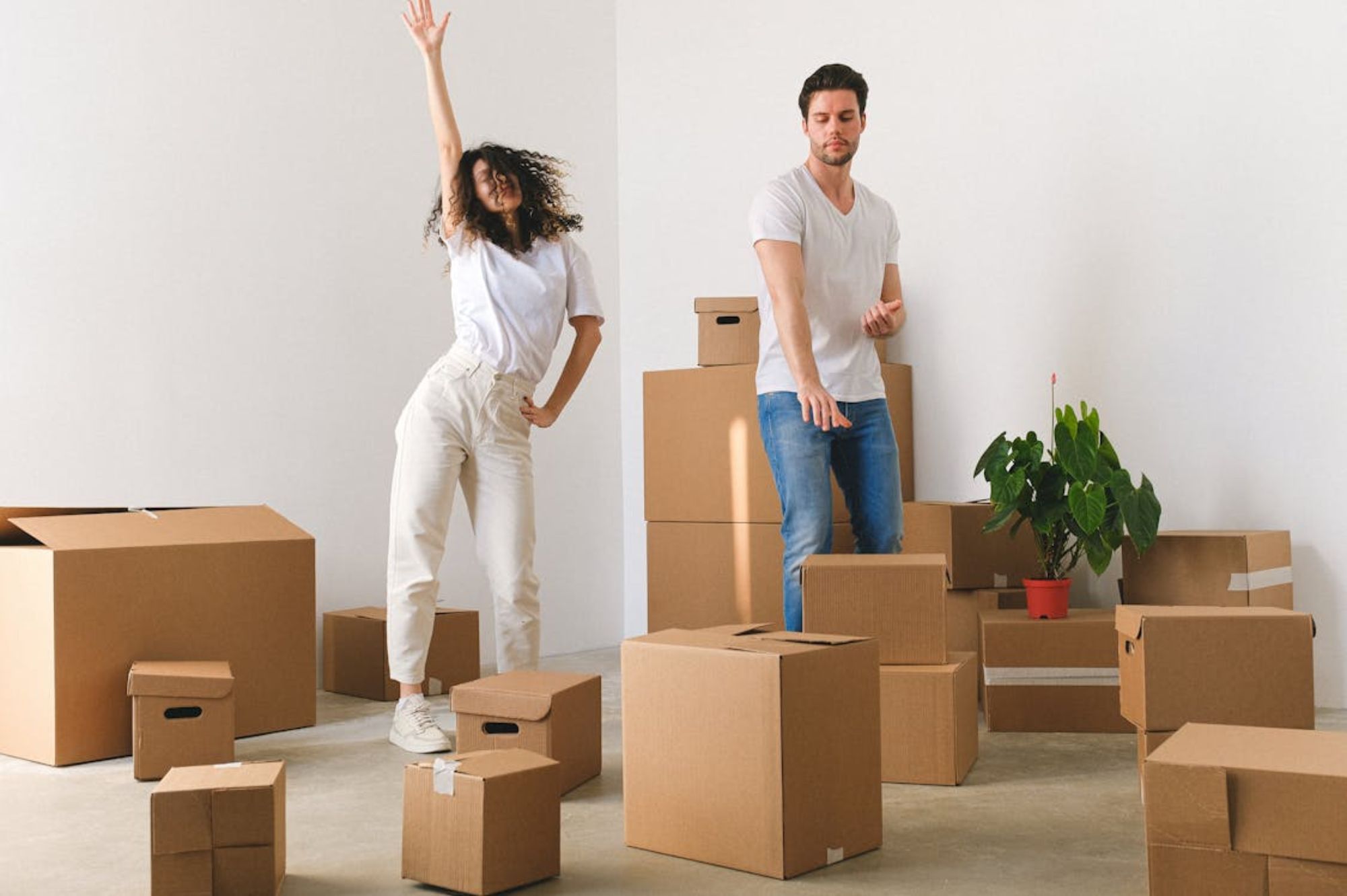 A la recherche de la fibre dans votre logement ? Cette box internet est ...
