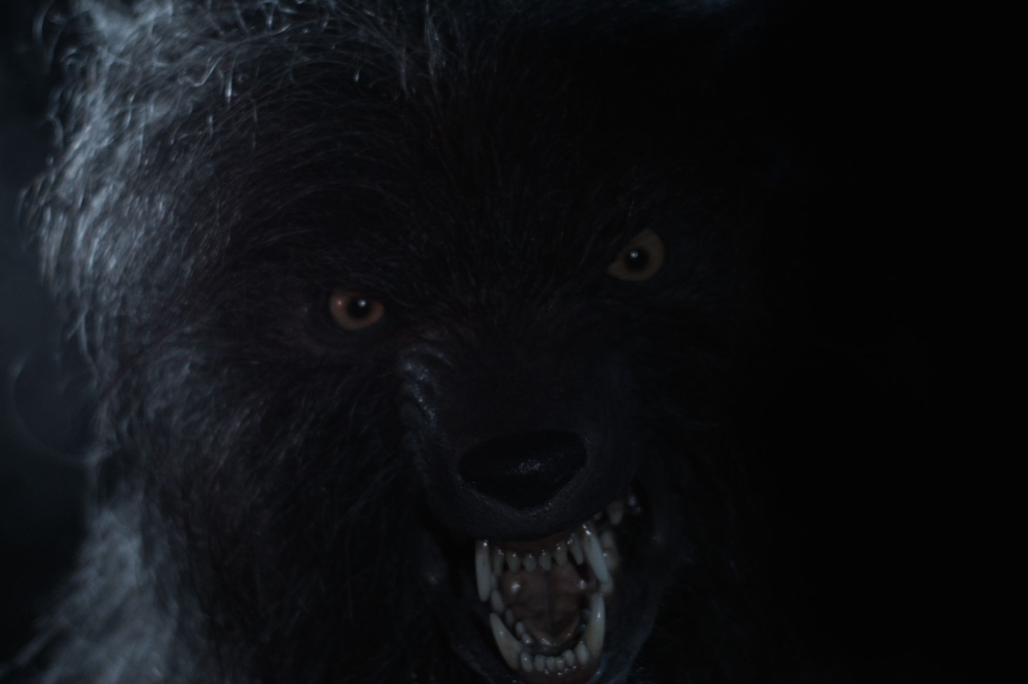 Le loup-garou de Hull court toujours