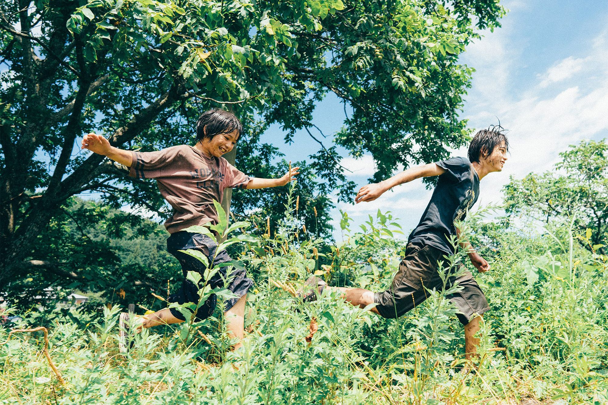 Kore-eda (« L'Innocence ») : « L’école est le laboratoire de la société ...
