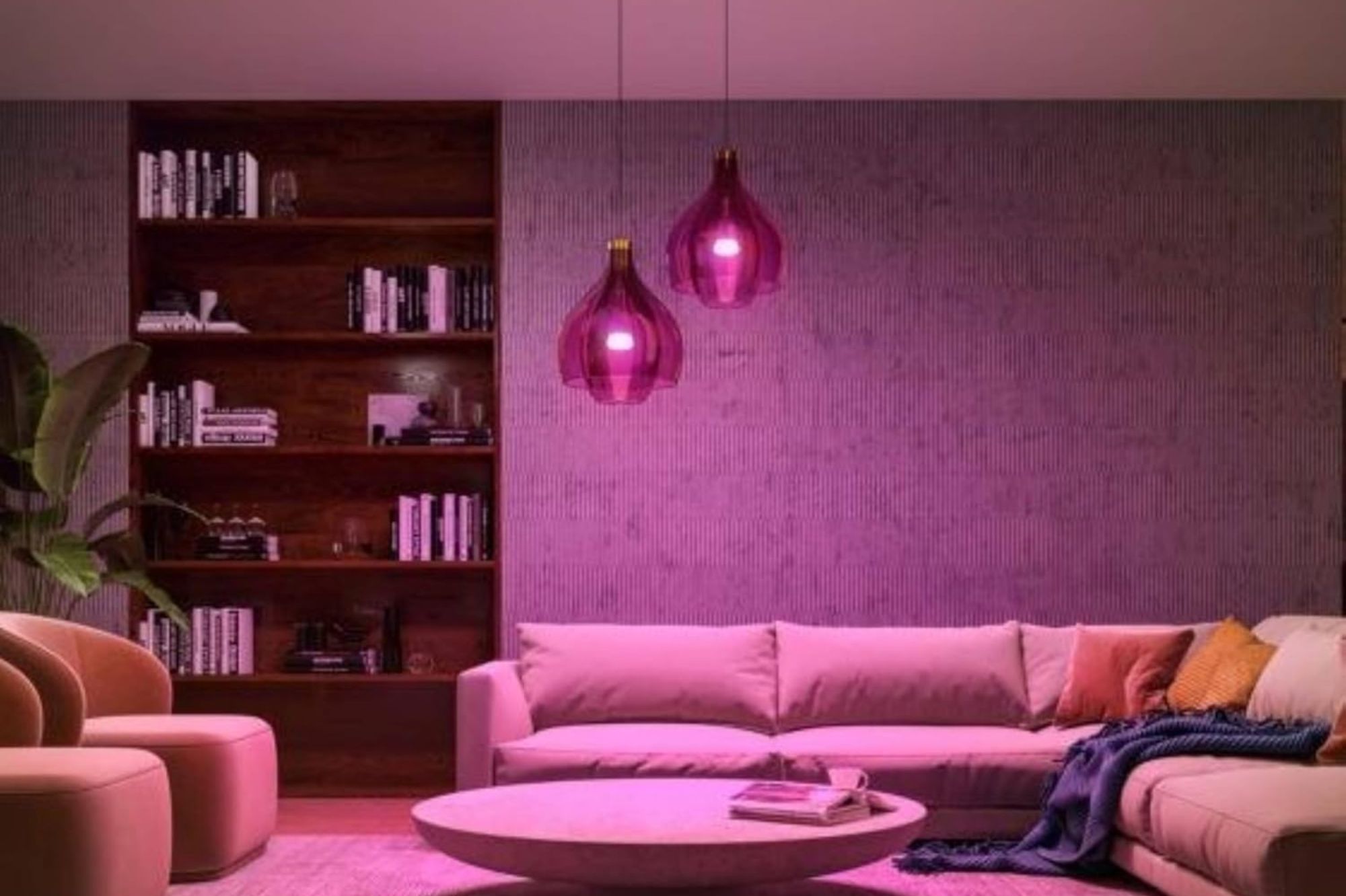 Les Parisiens n'en reviennent pas du prix de ces ampoules Philips Hue
