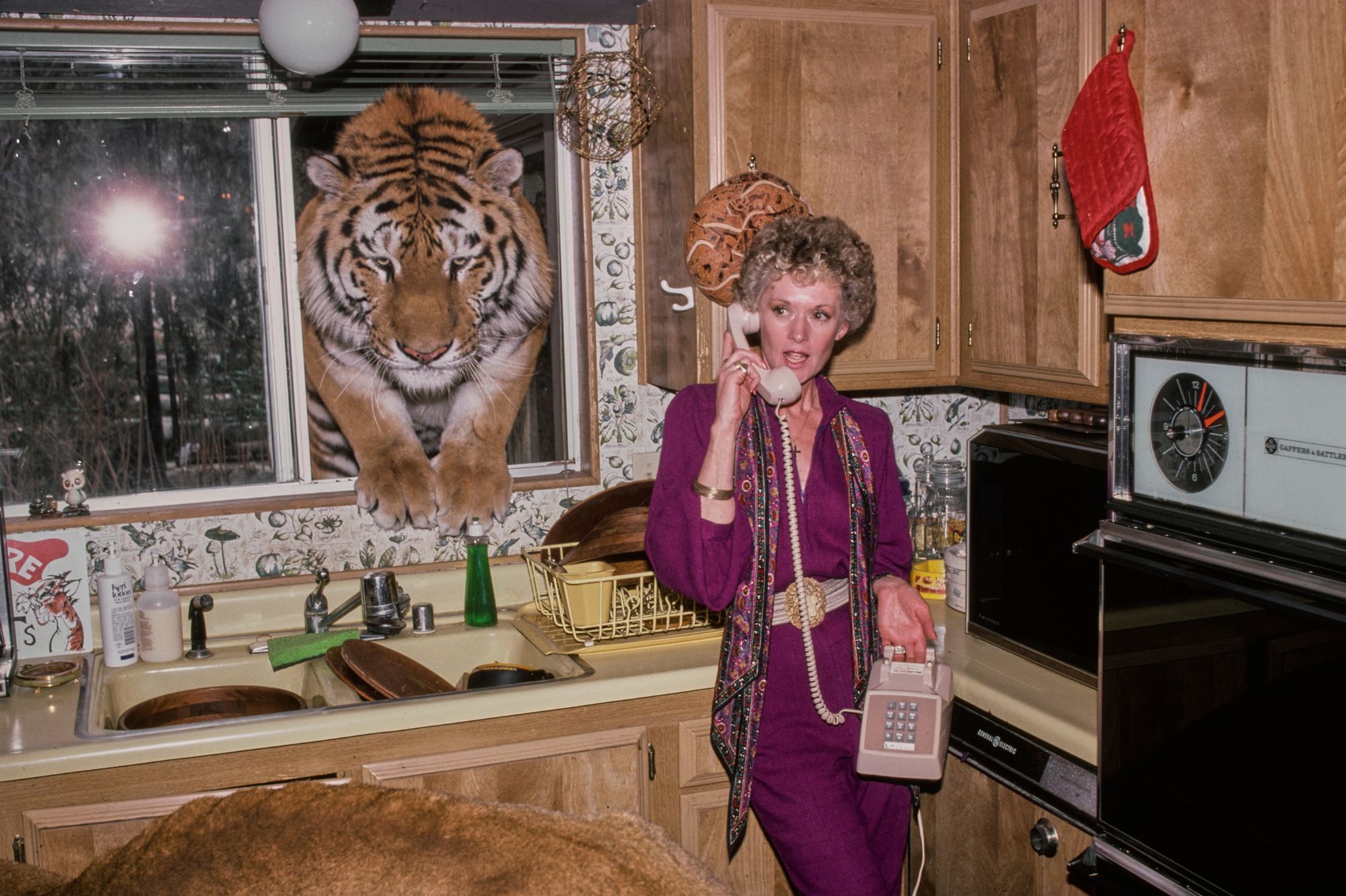 À 96 ans, Tippi Hedren vit-elle toujours avec ses lions et ses tigres