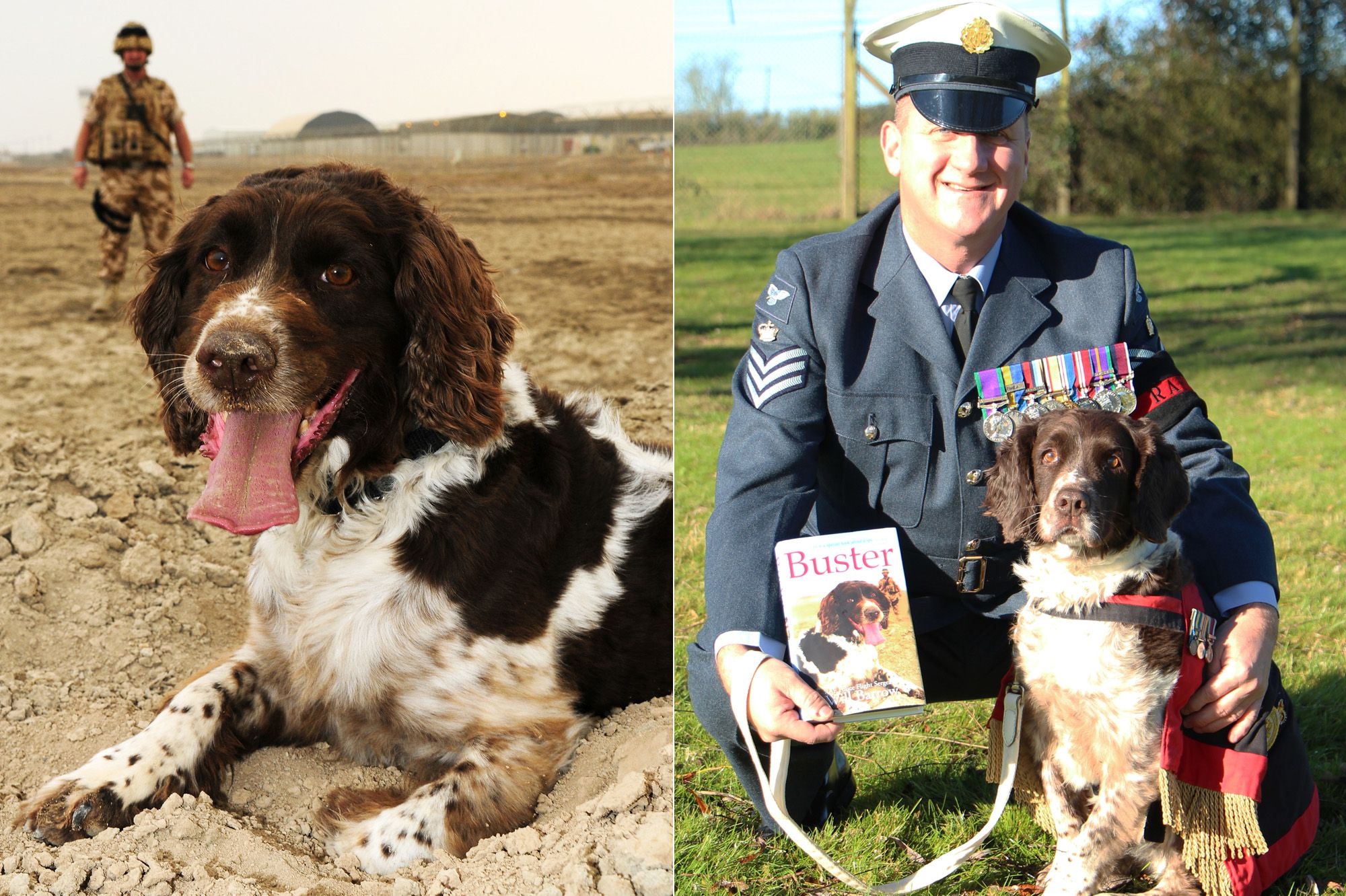 Buster, le chien qui a sauvé 1000 vies - Dans la Royal Air Force