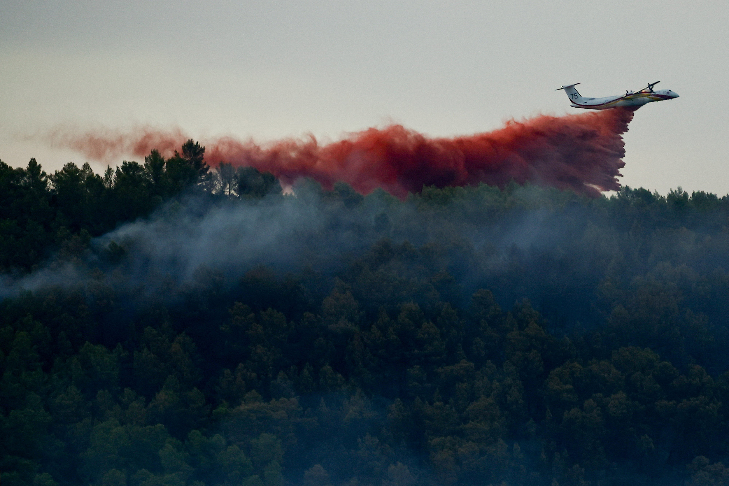 Incendies : « Un peu moins de 40 000 hectares » brûlés, interpellations ...