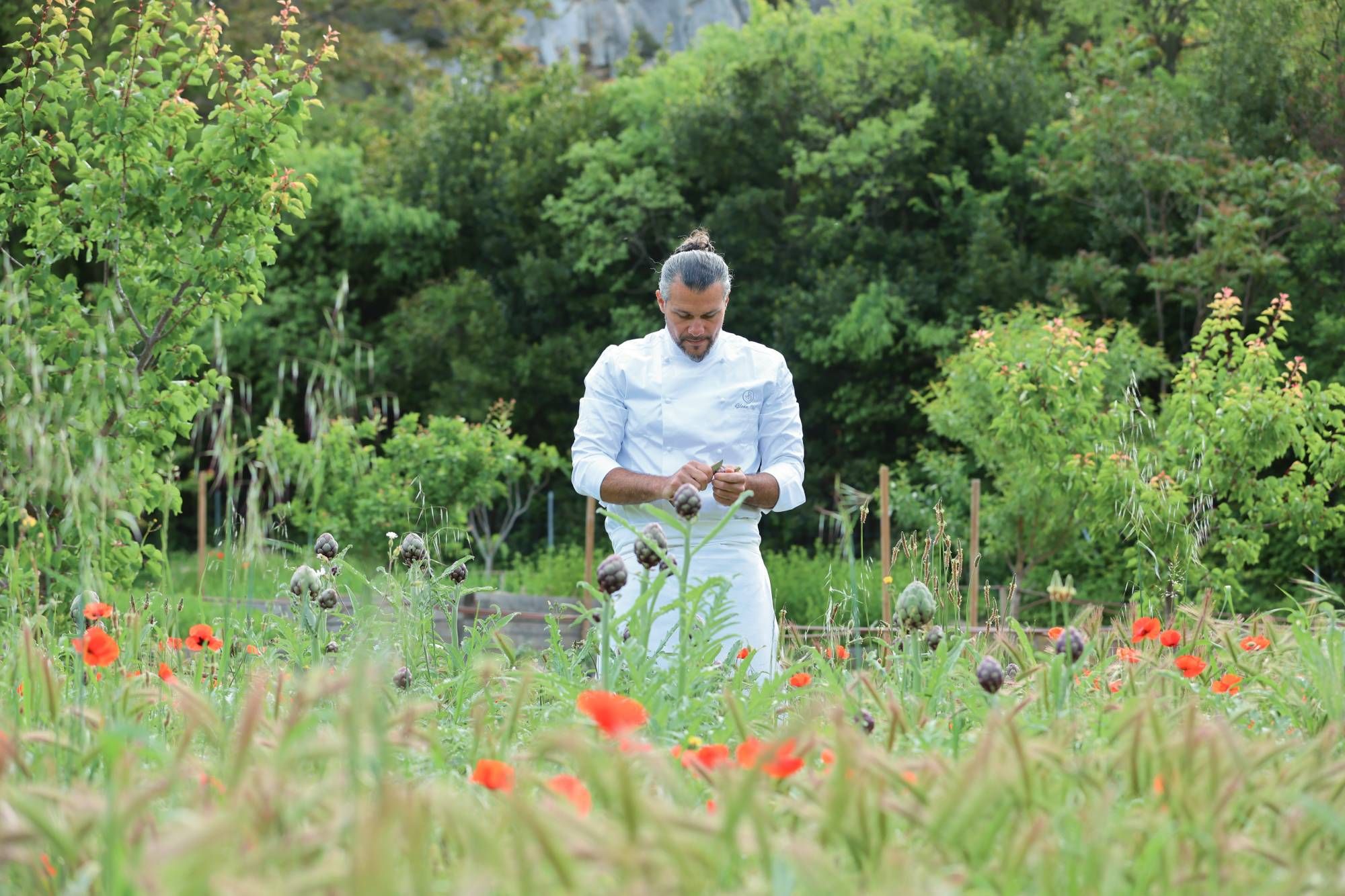 Les chefs cultivent leurs jardins