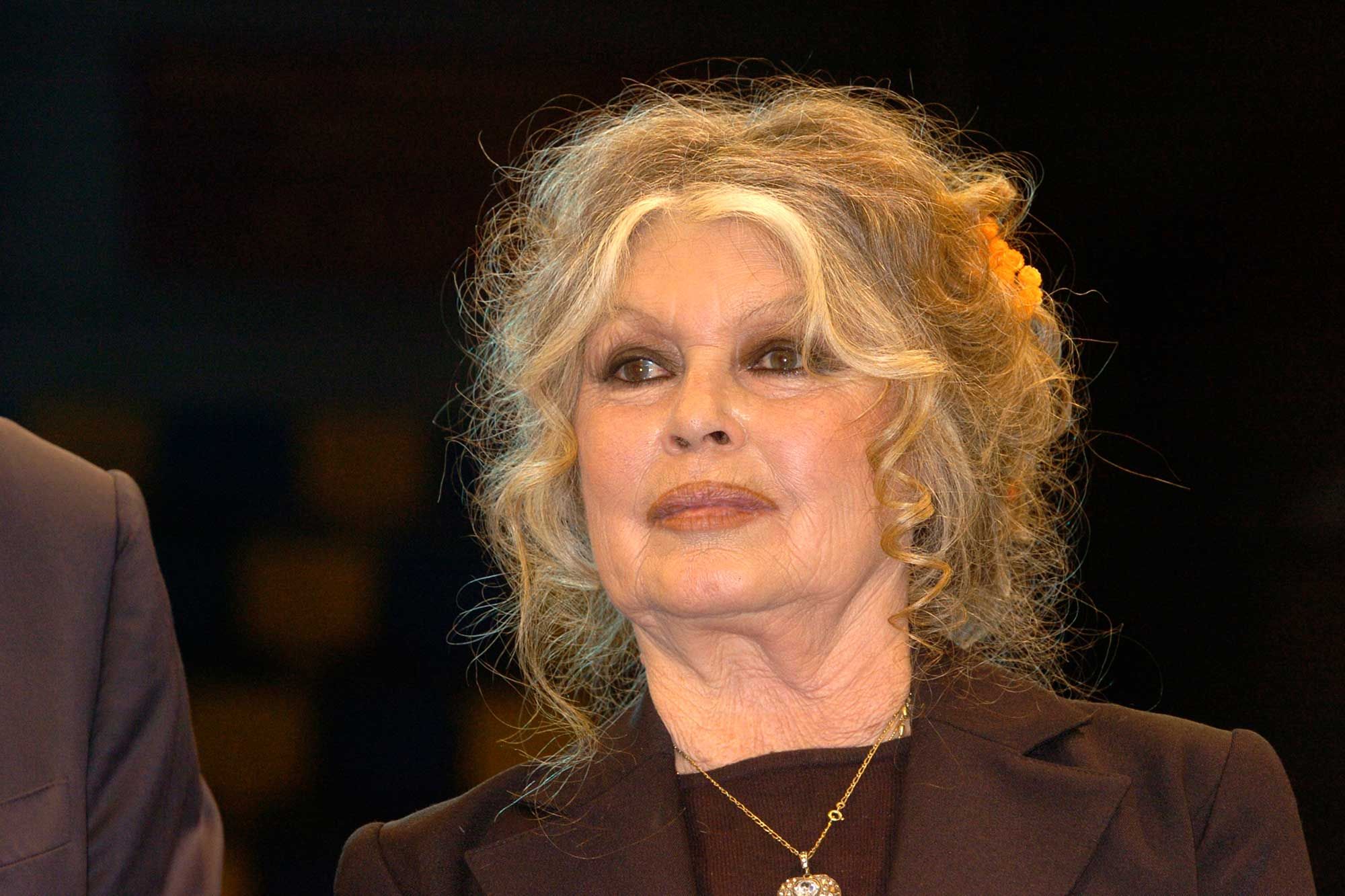 Brigitte Bardot s’en prend à Emmanuel Macron, le «Poutine de la nature ...