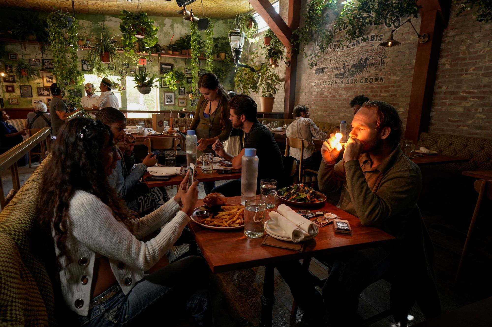 Le premier café cannabis des Etats-Unis ouvre à Hollywood