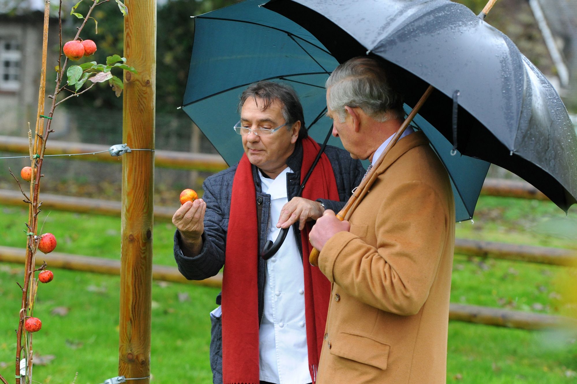 Photos – prince de Galles - Charles croque la pomme avec Raymond Blanc